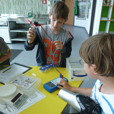 Bild vergr&ouml;&szlig;ern: P1240276