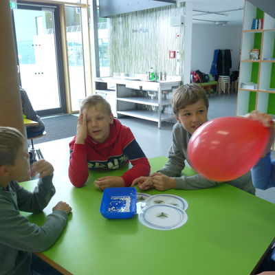 Bild vergr&ouml;&szlig;ern: P1240266
