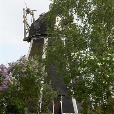 Wolde - Windmühle Friedrichshof 