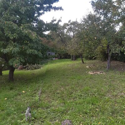 Bild vergr&ouml;&szlig;ern: Garten_Nr.41
