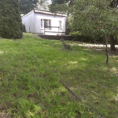 Bild vergr&ouml;&szlig;ern: Garten Nr.40