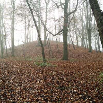 Pripsleben - Hügelgrab Barkow