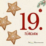 Bild vergr&ouml;&szlig;ern: 19