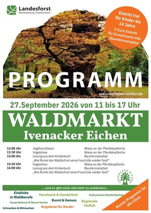 Bild vergr&ouml;&szlig;ern: Waldmarkt Ivenack