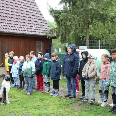 Bild vergr&ouml;&szlig;ern: Die Kinder der Klasse 2 c haben im Tierheim fleißig geholfen.
